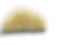 PapayaT Glob_edited_edited.png